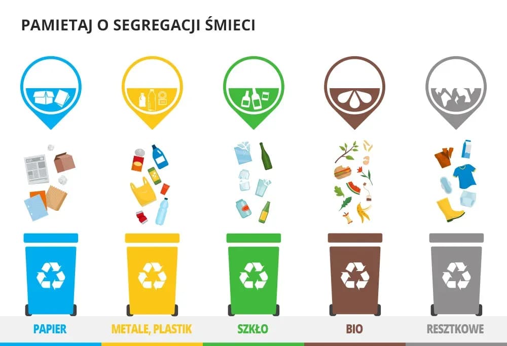 Gdzie wyrzucić puszki? Oto co musisz wiedzieć o recyklingu