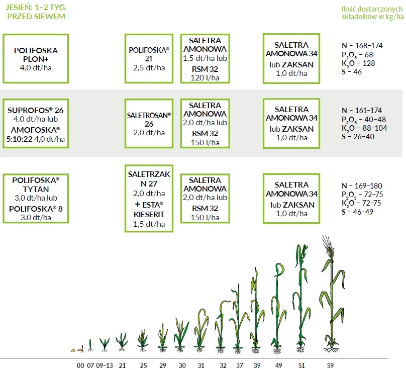 Jaki nawóz pod żyto ozime? Odkryj najlepsze metody nawożenia