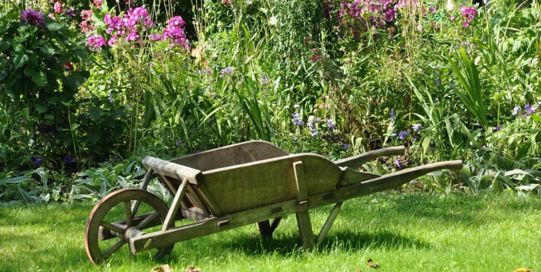 Kiedy stosować nawóz Yara Mila Complex, aby uniknąć błędów w pielęgnacji?